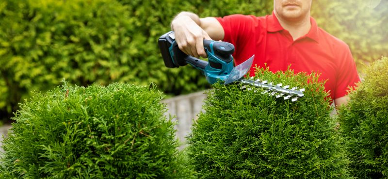 Landscape Trimming Service in Aiken, SC