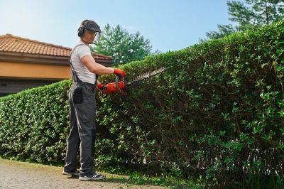 Promote Growth with Hedge Trimming!
