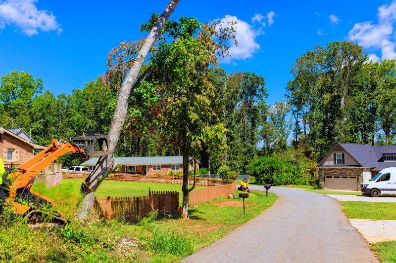 Apple Tree Removal in Reno, NV