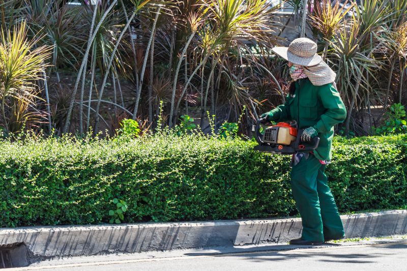 Commercial Shrub Trimming in Honolulu, HI