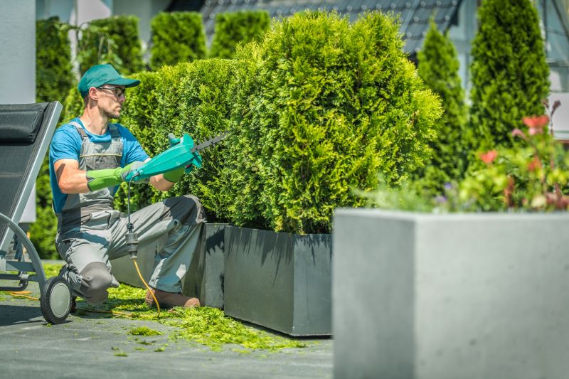 Commercial Shrub Trimming in Rockwall, TX