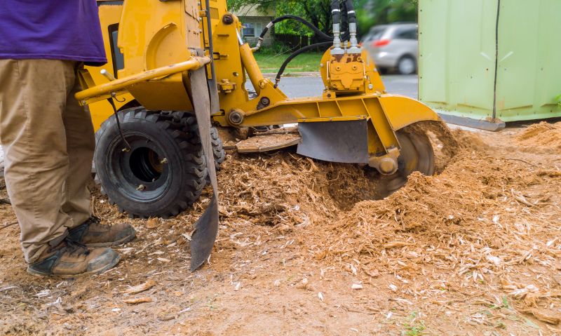 Commercial Stump Grinding in Pottstown, PA