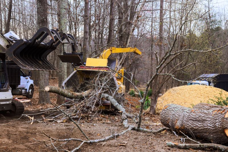 Dogwood Tree Removal in Reno, NV