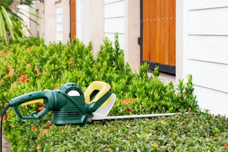 Evergreen Hedge Trimming in Ventura County, CA