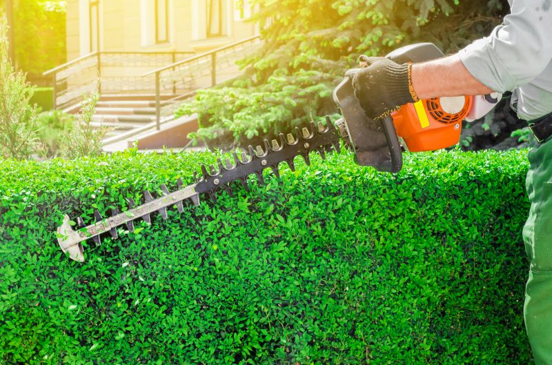 Hedge Pruning in Aiken, SC