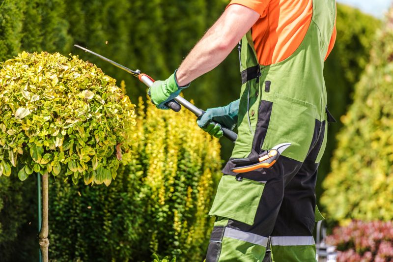 Hedge Shaping Service in Honolulu, HI