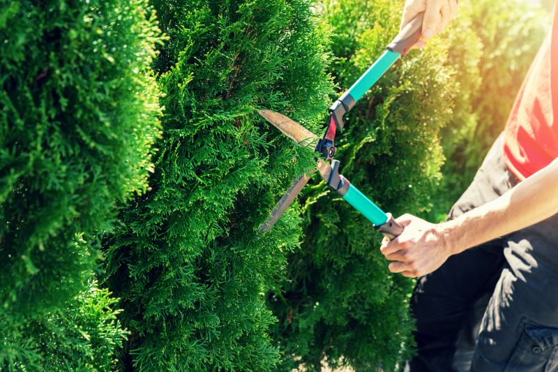Hedge Trimming in Ventura County, CA