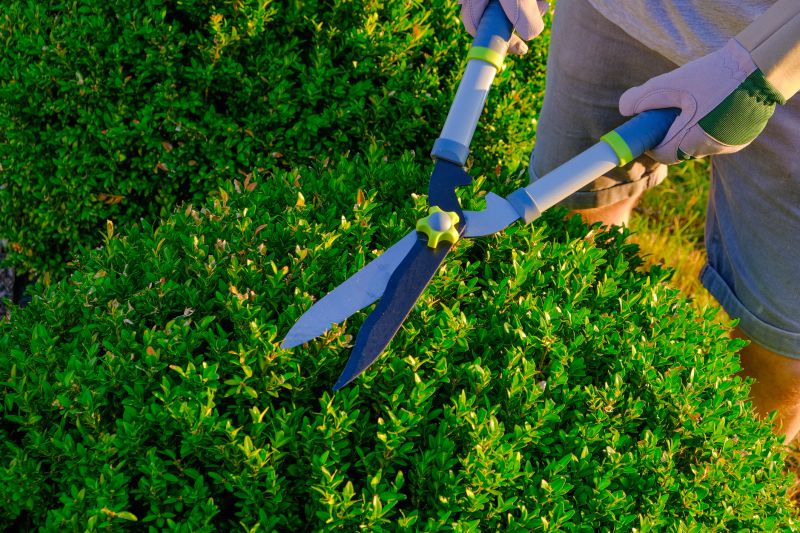 Hedge Trimming Tools