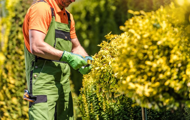 Shrub Pruning in Ventura County, CA