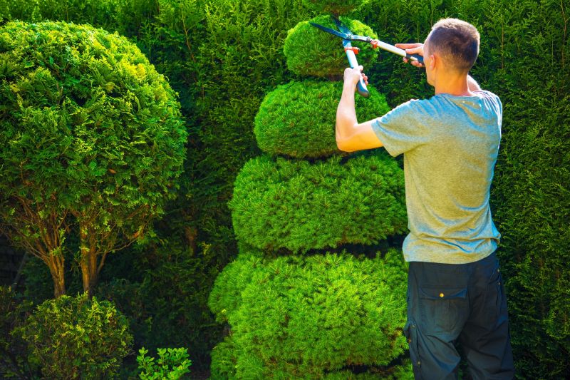 Shrubs Shaped for Design
