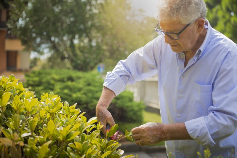 Shrubs Removal in Ventura County, CA