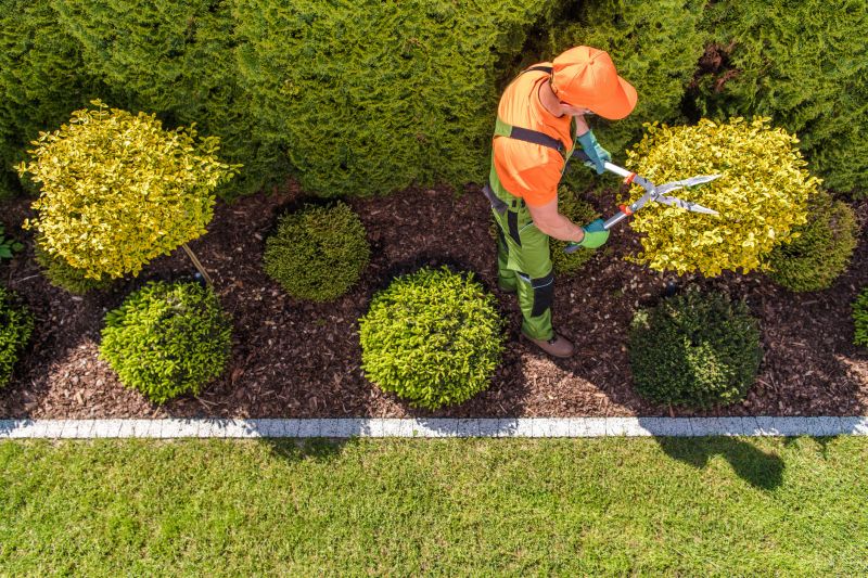 Topiary Shaping in Aiken, SC