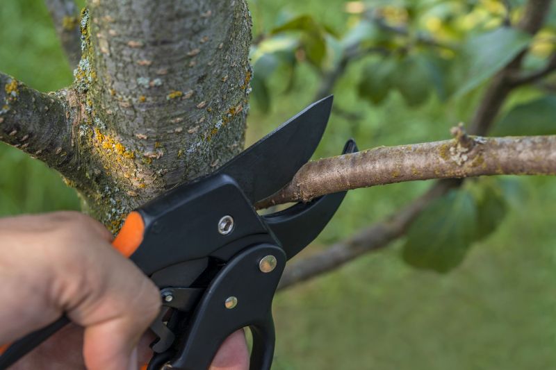 Tree Shearing in Pottstown, PA